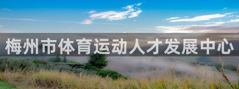 尊龙官方正版app集团简介：梅州市体育运动人才发展中