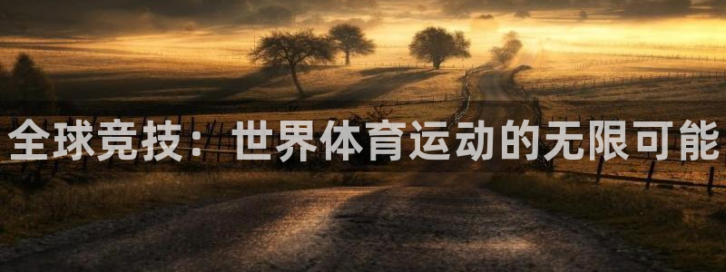 尊龙官网下载平台注册：全球竞技：世界体育运动的无限可