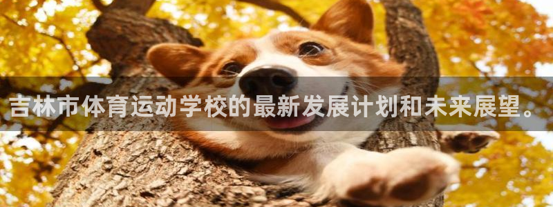 尊龙官网下载平台注册要钱吗：吉林市体育运动学校的最新发展计划