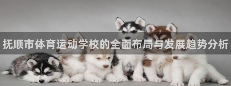 尊龙官方正版app集团logo：抚顺市体育运动学校的全面布局