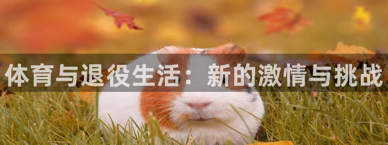 尊龙官方正版app集团E.ON