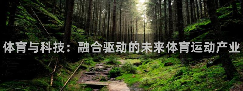 尊龙官方集团官网：体育与科技：融合驱动的未来体育运动产业