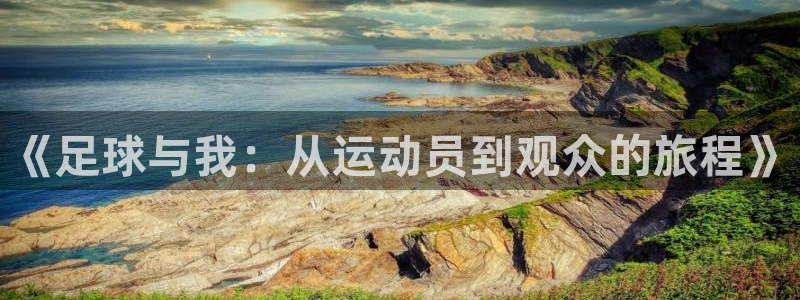 尊龙官方正版app集团官网网址：《足球与我：从运动员到观众的