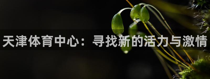 尊龙官网下载联系电话：天津体育中心：寻找新的活力与激情