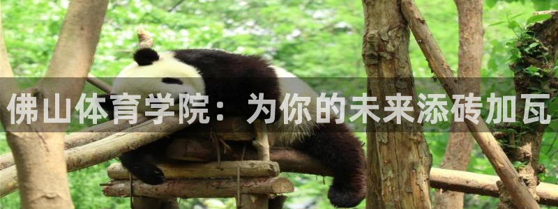 尊龙官网下载平台：佛山体育学院：为你的未来添砖加瓦