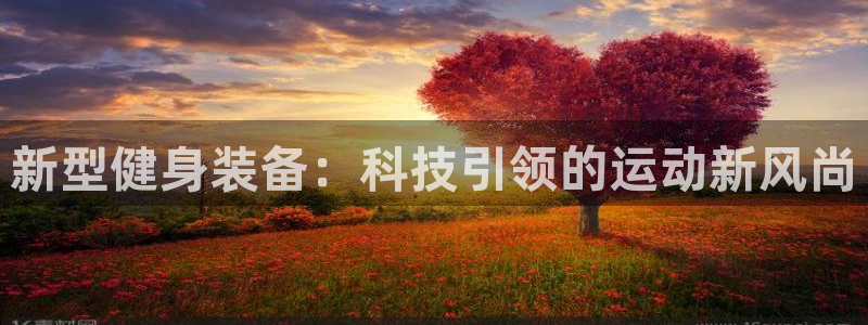 尊龙官方正版app开户：新型健身装备：科技引领的运动新风尚