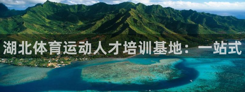 尊龙官方正版app集团E.ON：湖北体育运动人才培训