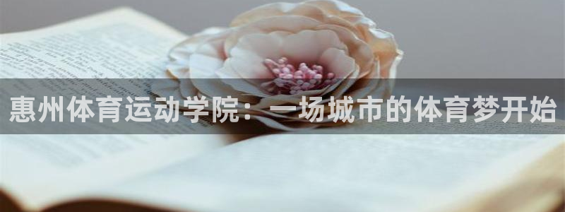 尊龙官网下载招商电话号码查询