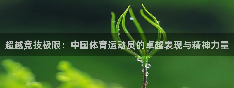 尊龙官网下载官方客服电话：超越竞技极限：中国体育运动员的卓越