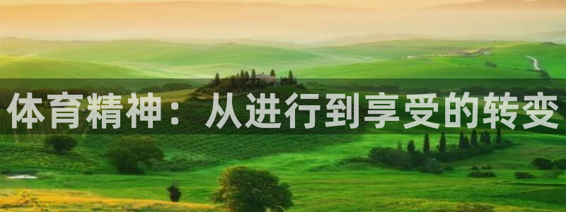 尊龙官方正版app娱乐：体育精神：从进行到享受的转变