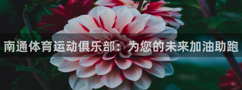 尊龙官网下载招商电话是多少号码