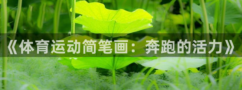 尊龙官网下载平台APP