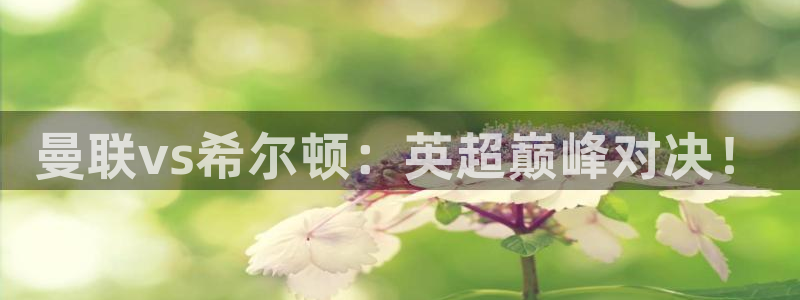 熊猫体育直播信誉第一.好玩网.top：曼联vs希尔顿：英超巅峰对决！
