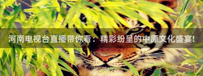 熊猫视频搞笑：河南电视台直播带你看：精彩纷呈的中原文化盛宴!