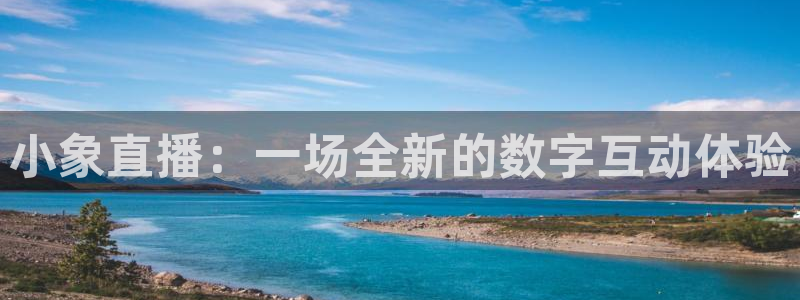 熊猫体育直播app：小象直播：一场全新的数字互动体验