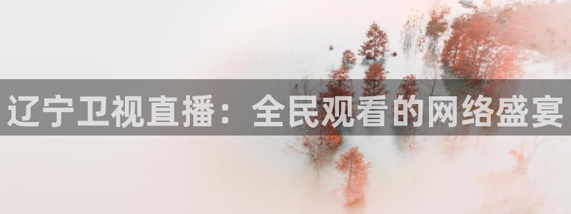 熊猫体育nba：辽宁卫视直播：全民观看的网络盛宴