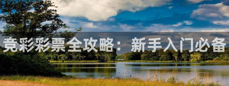 熊猫游戏直播：竞彩彩票全攻略：新手入门必备