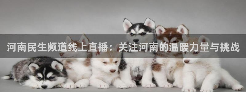 熊猫直播app