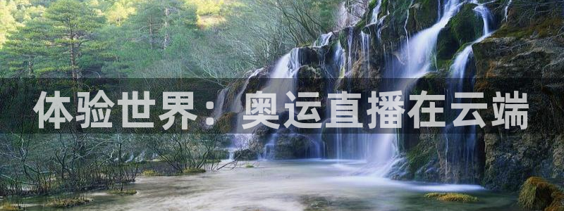 熊猫杯足球直播