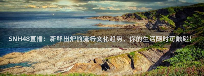 熊猫体育平台直播