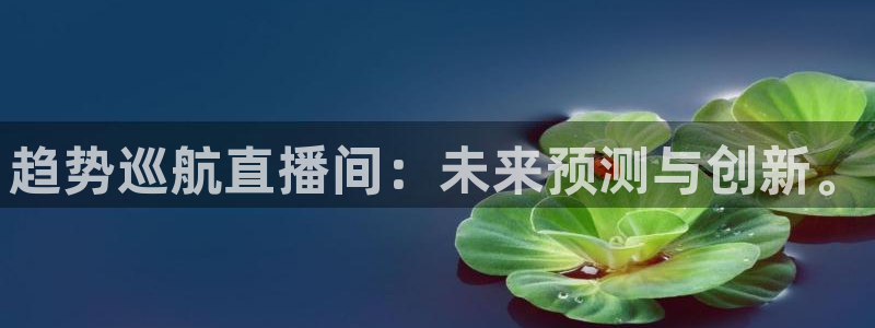 熊猫视频直播