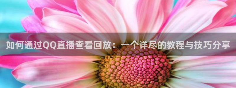 直播:熊猫