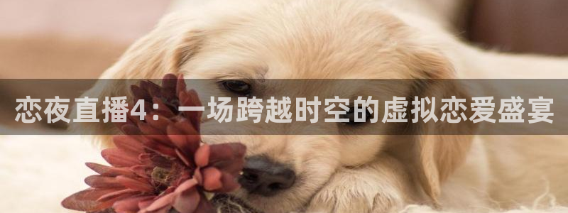 熊猫nba直播视频：恋夜直播4：一场跨越时空的虚拟恋爱盛宴