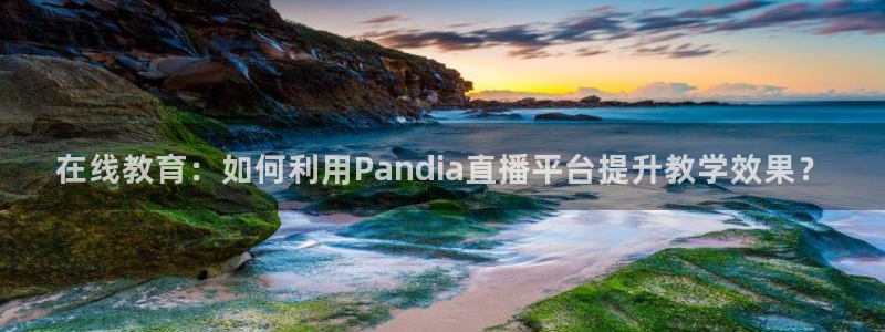 熊猫体育手机版下载：在线教育：如何利用Pandia直播平台提升教学效果？