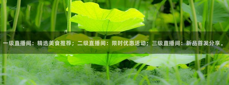 熊猫户外直播：一级直播间：精选美食推荐；二级直播间：限时优惠活动；三级直播间：新品首发分享。