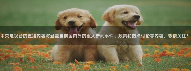 熊猫体育平台直播：中央电视台的直播内容将涵盖当前国内外的重大新闻事件、政策和热点讨论等内容，敬请关注！
