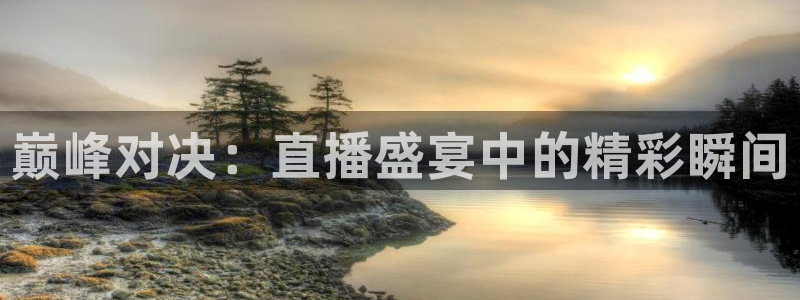 熊猫体育app下载安装：巅峰对决：直播盛宴中的精彩瞬间