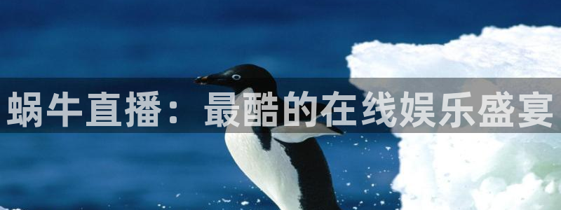 熊猫体育直播：蜗牛直播：最酷的在线娱乐盛宴